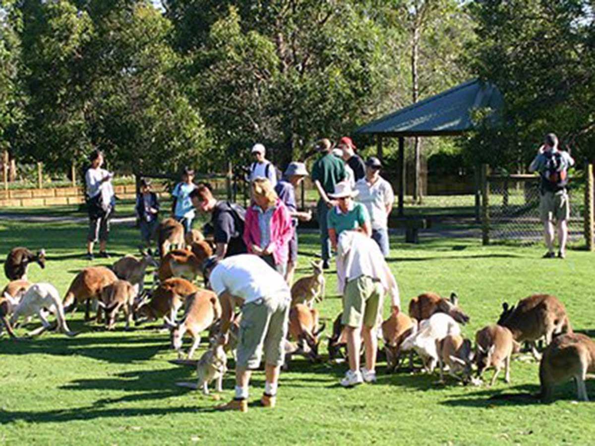 Wildlife Park Centre Activity Tours Attractions In Perth And Surrounds