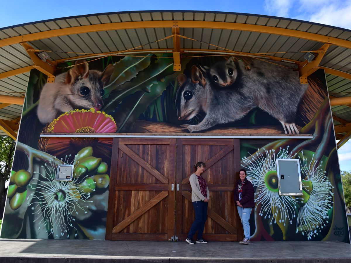 Photo of Forest Explorers - Collie Tours Wildflower & Mural