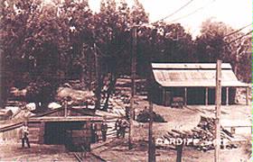 Photo of Collie River Valley Visitor Centre